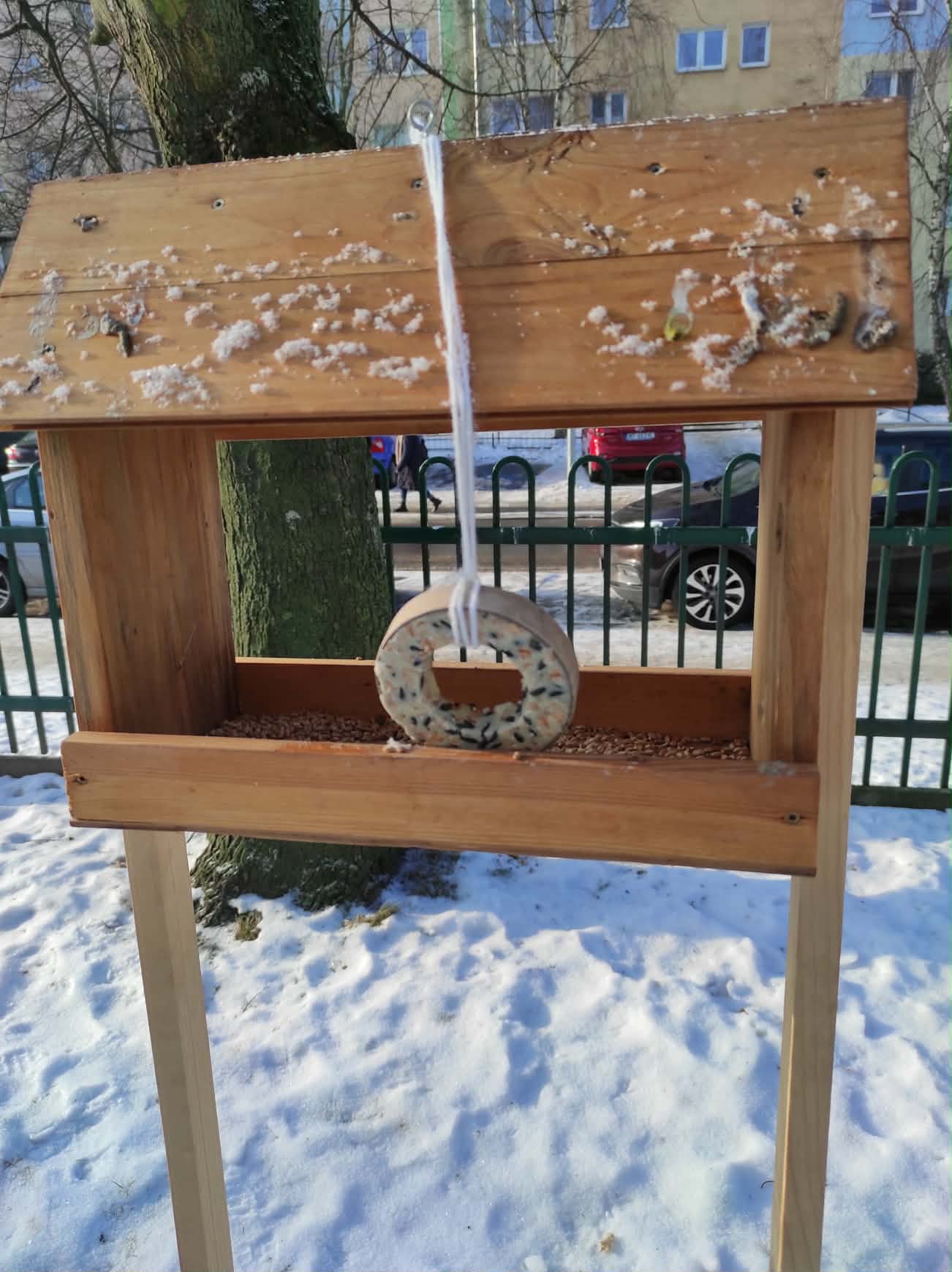 Aktywna zima w grupie ,, Żabek”