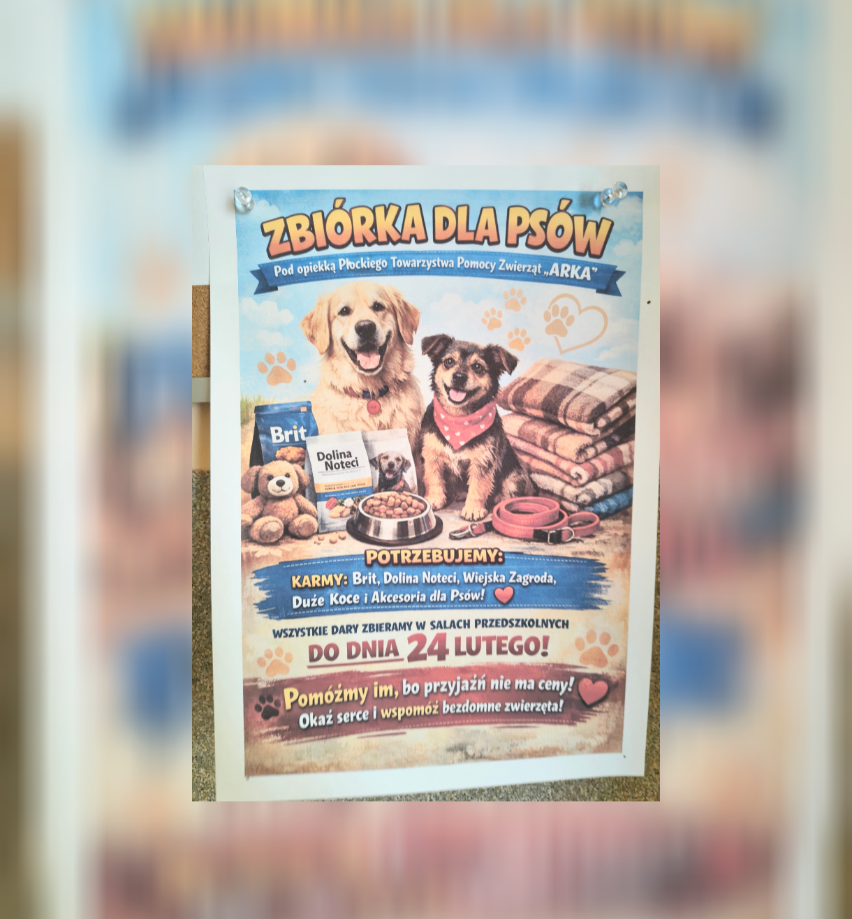 Zbiórka darów dla psów 🐕