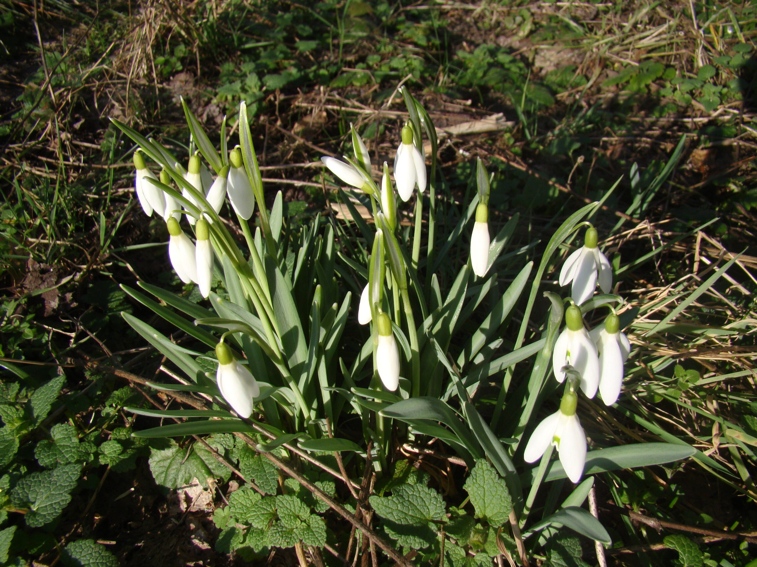 Tematyka kompleksowa na marzec
