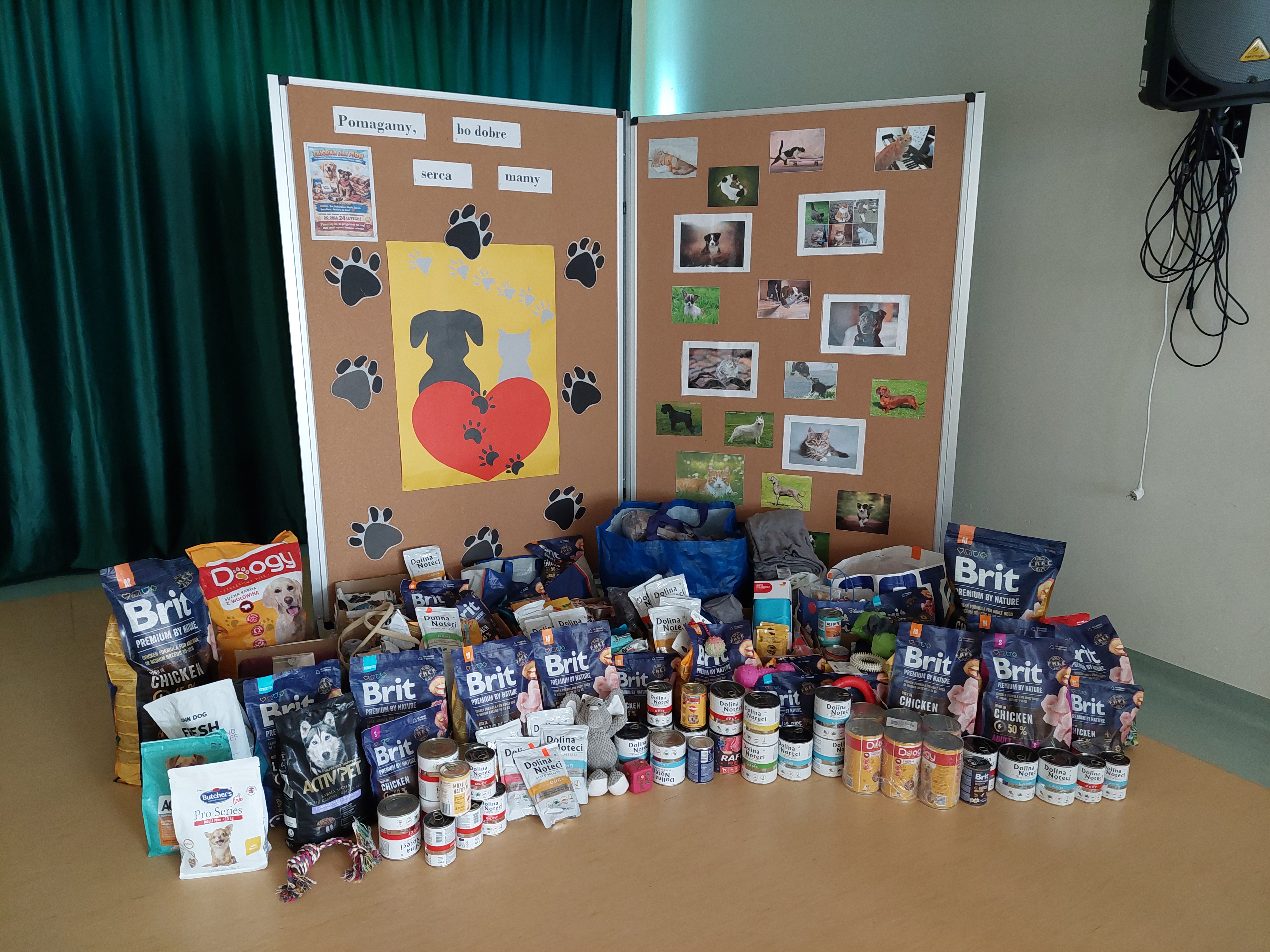 Spotkanie z Płockim Towarzystwem Pomocy Zwierzętom „Arka”